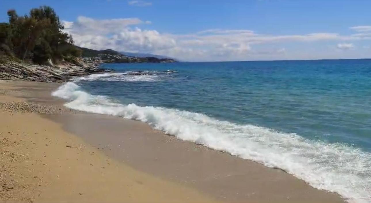 Olivia -Ελιά Apartment Palaiontsiflikion Bagian luar foto