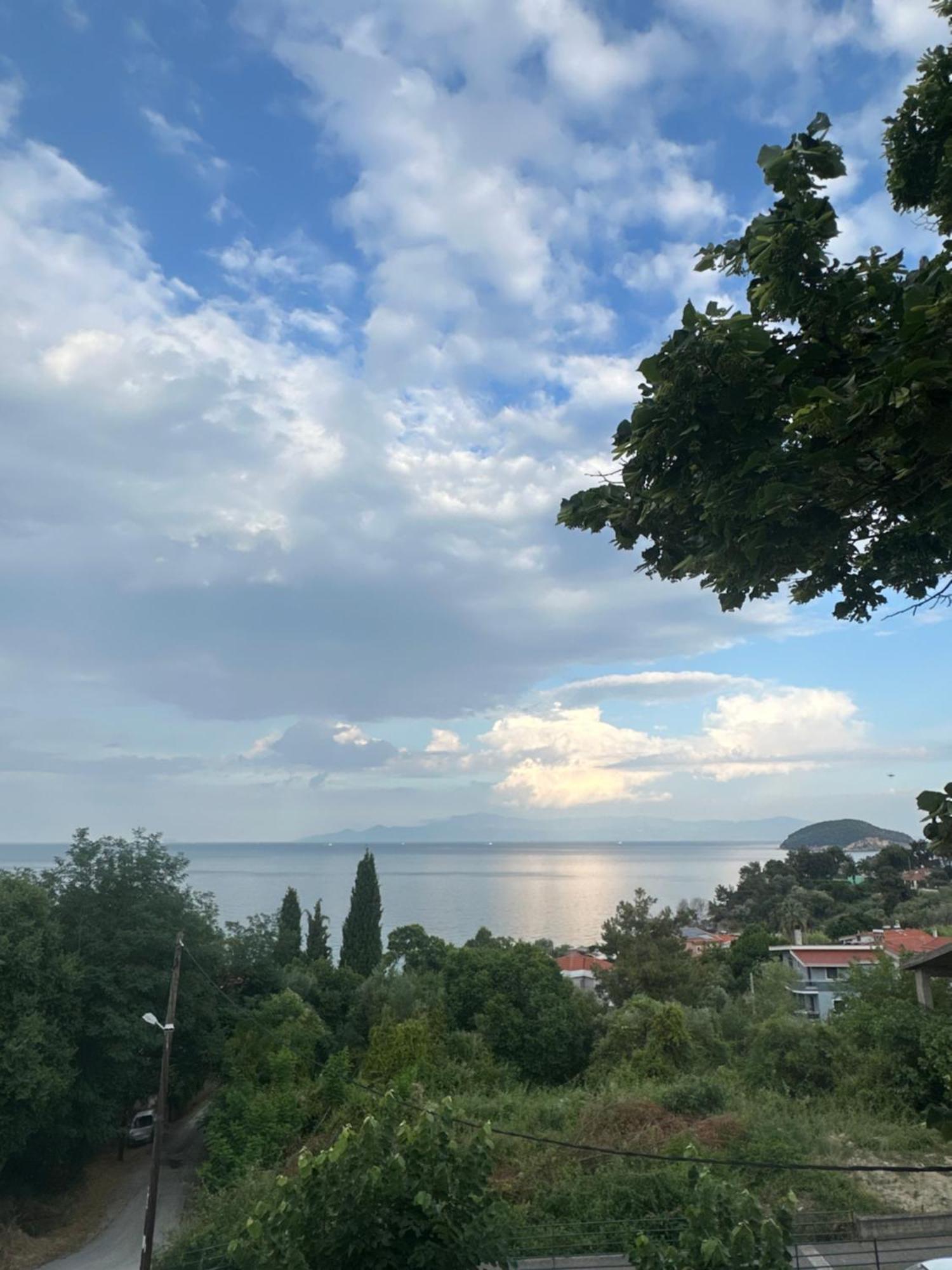 Olivia -Ελιά Apartment Palaiontsiflikion Bagian luar foto