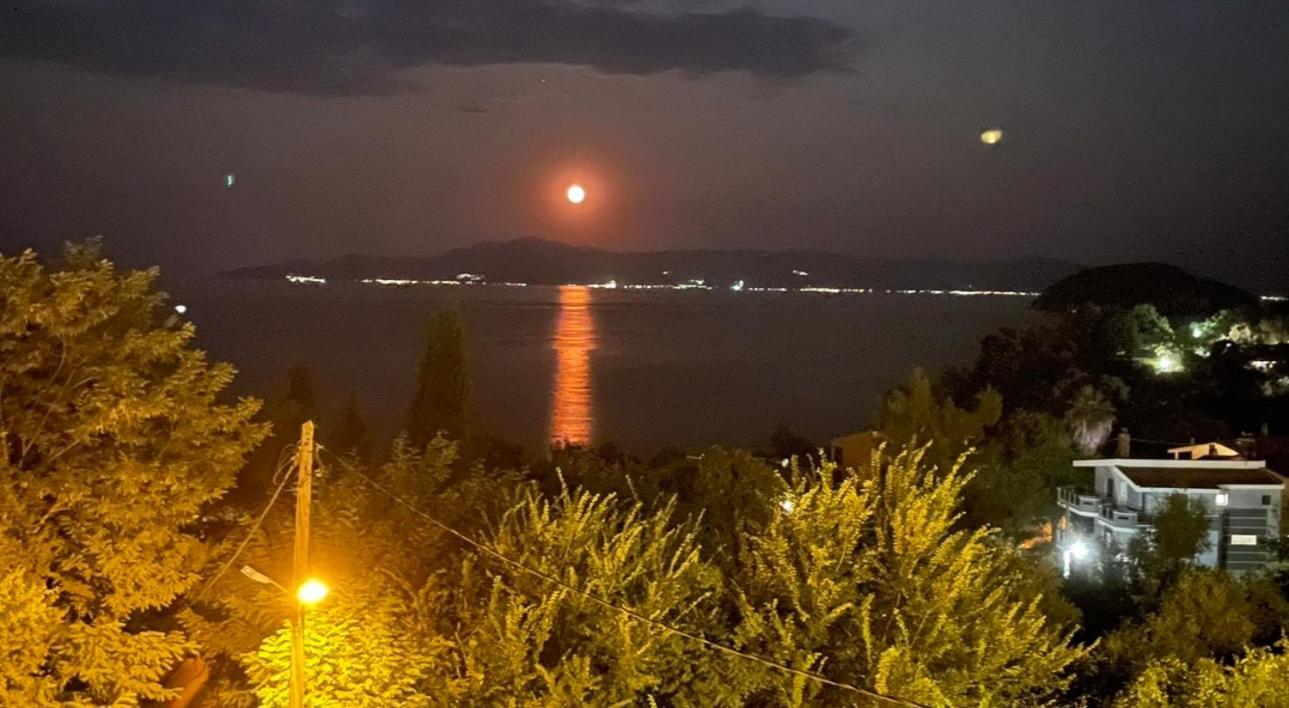 Olivia -Ελιά Apartment Palaiontsiflikion Bagian luar foto
