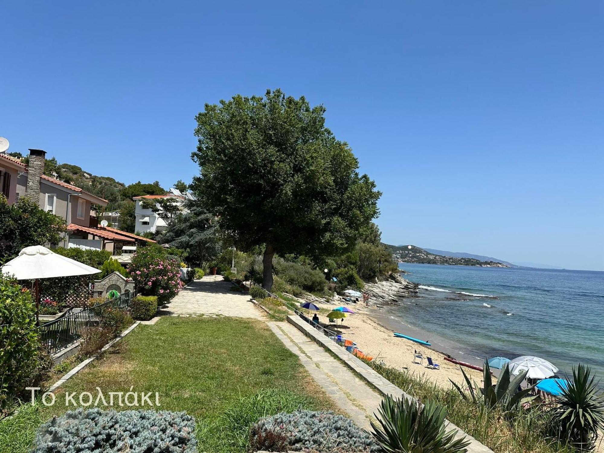 Olivia -Ελιά Apartment Palaiontsiflikion Bagian luar foto